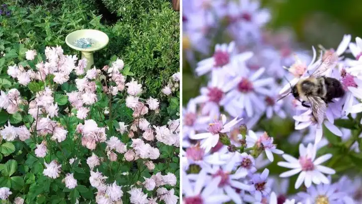 Garden Trends by Generation: What Boomers, Millennials, and Gen Z Grow Most