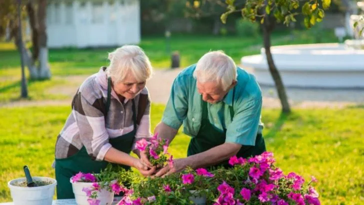 Gardening as Therapy: How Plants Benefit Mental Health