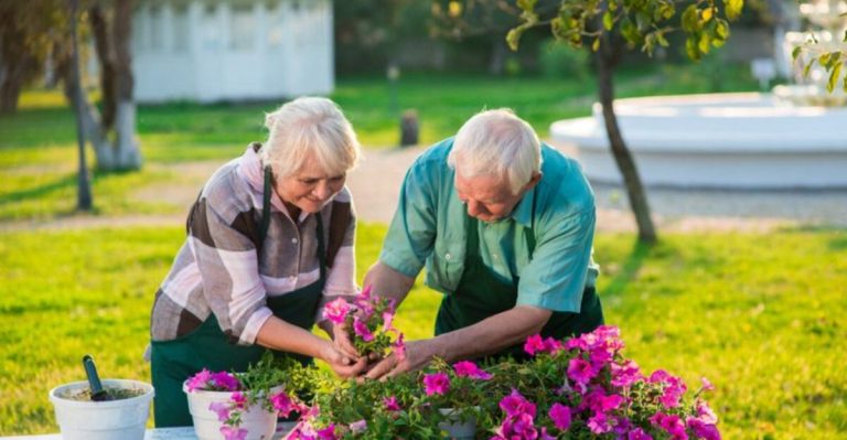 Gardening as Therapy: How Plants Benefit Mental Health