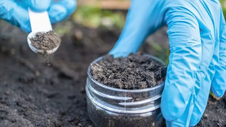 Harnessing Indigenous Microorganisms to Enhance Soil Fertility
