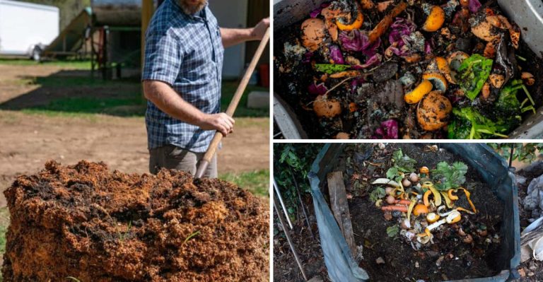 How Gardeners Accidentally Kill Their Compost Pile (And What to Do Instead)