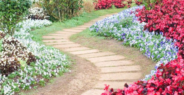 How to Design a Romantic Garden: Tips for an Enchanting Outdoor Space