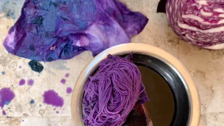How to Use Plants for Natural Fabric Dyeing