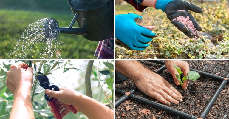 My Garden Finally Thrived When I Ignored These 12 Common Tips