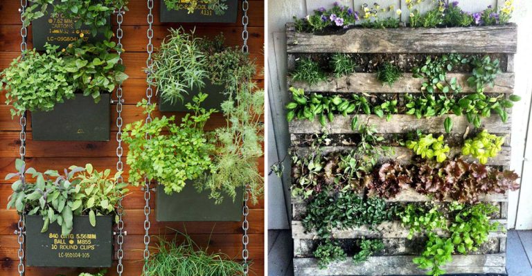 The 15 Most Overhyped Gardening Trends of the Last 5 Years