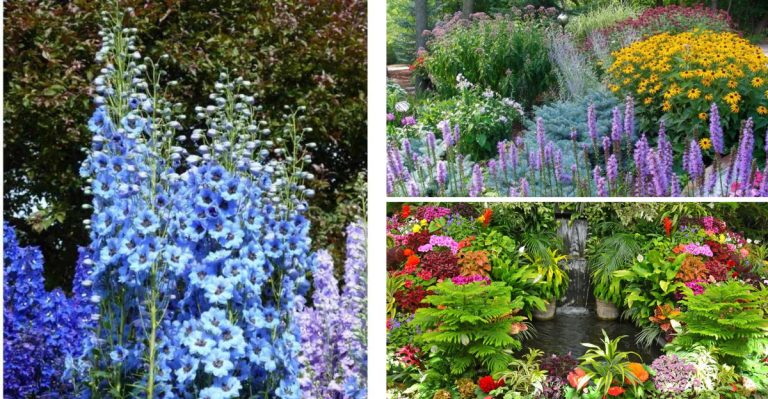 U.S. Hardiness Zones Explained for Better Gardening and Thriving Plants
