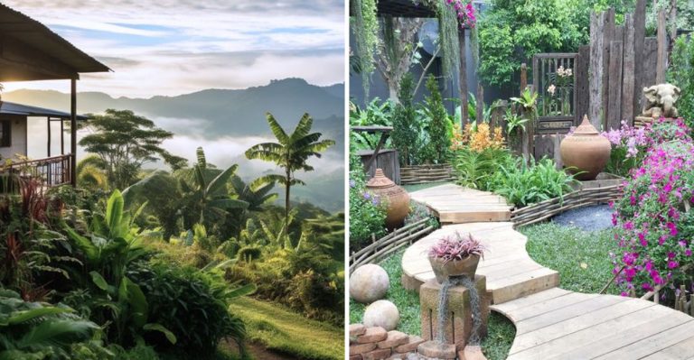 What Garden Designers Never Do (But Homeowners Always Try Anyway)
