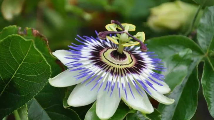 11 Garden Center ‘Must-Haves’ That Are Complete Wastes of Money (Buy These 6 Instead)