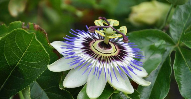 11 Garden Center ‘Must-Haves’ That Are Complete Wastes of Money (Buy These 6 Instead)