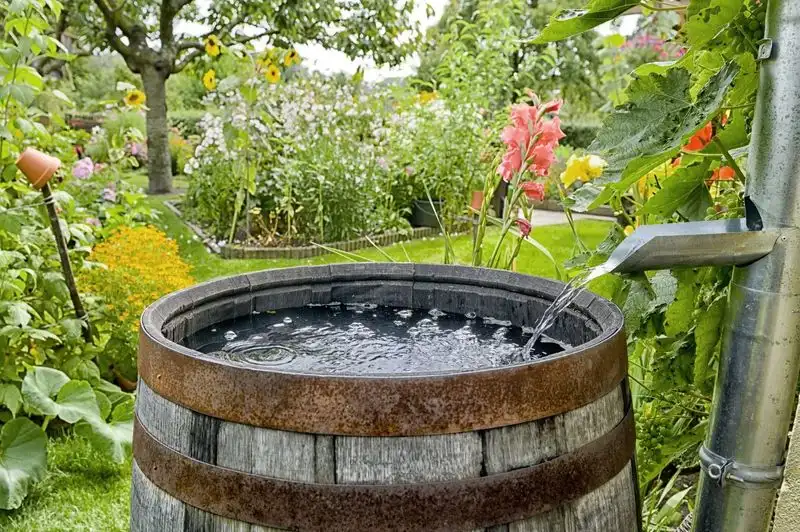 Rainwater Harvesting Fountain