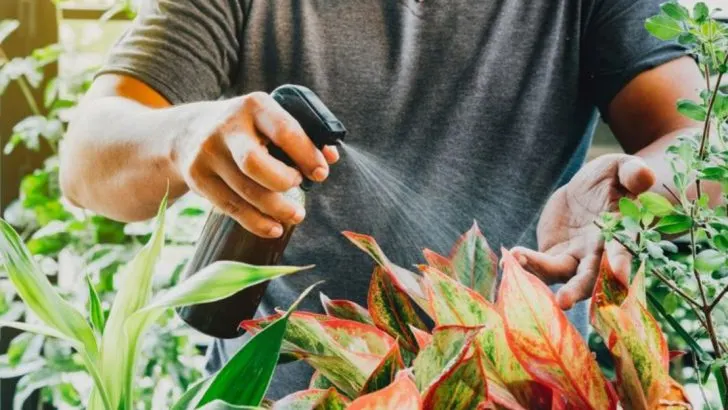 12 Creative Ways to Use Coca-Cola for a Healthier Garden