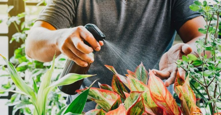 12 Creative Ways to Use Coca-Cola for a Healthier Garden
