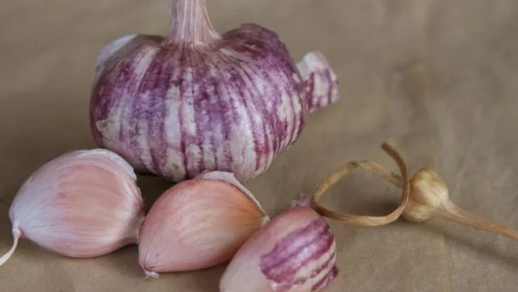 12 Lesser-Known Alliums That Taste Better Than Store-Bought Garlic