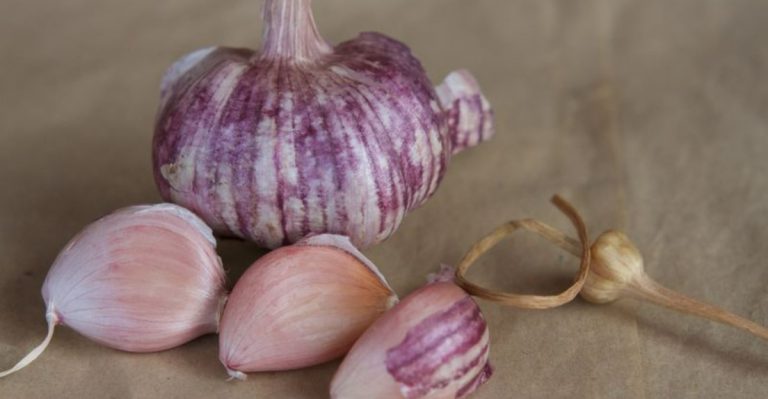 12 Lesser-Known Alliums That Taste Better Than Store-Bought Garlic