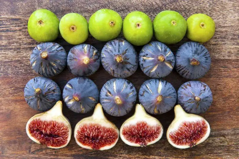 Choose the Right Variety