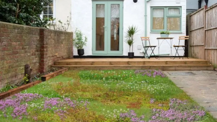 12 Perks of Growing Clover Instead of Grass in Your Yard