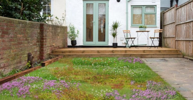 12 Perks of Growing Clover Instead of Grass in Your Yard