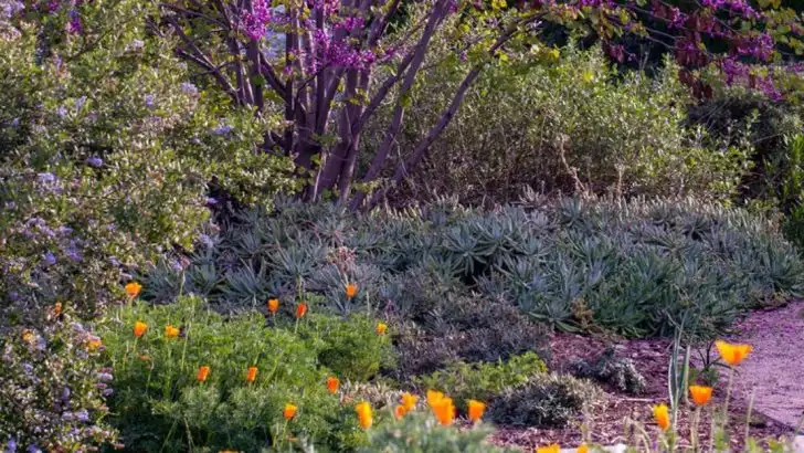 12 Plants You Should Never Buy at the Garden Center (Grow These 10 Instead)