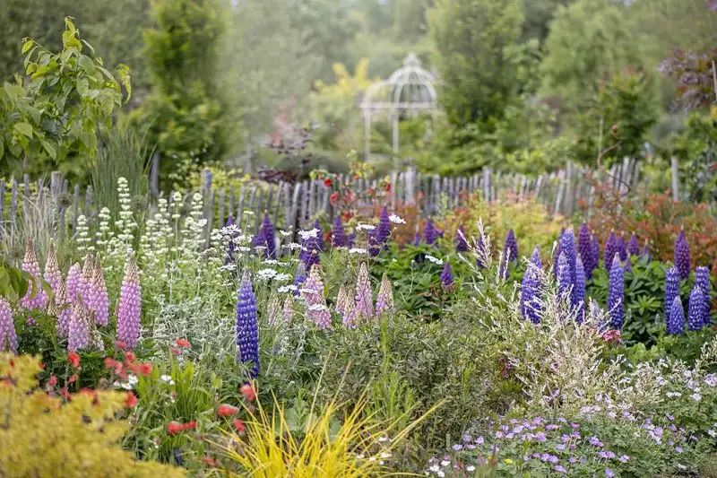 Bountiful Blooms
