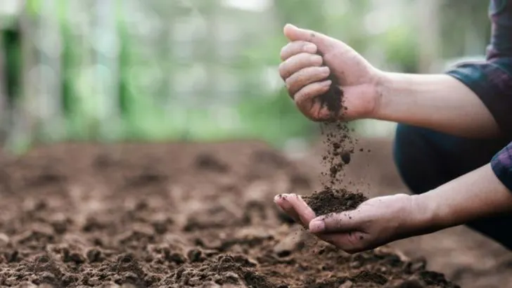 12 Soil Test Results That Should Change Your Planting Strategy Immediately