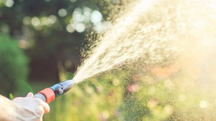 12 Watering Rules Everyone Follows That Kill More Plants Than Drought