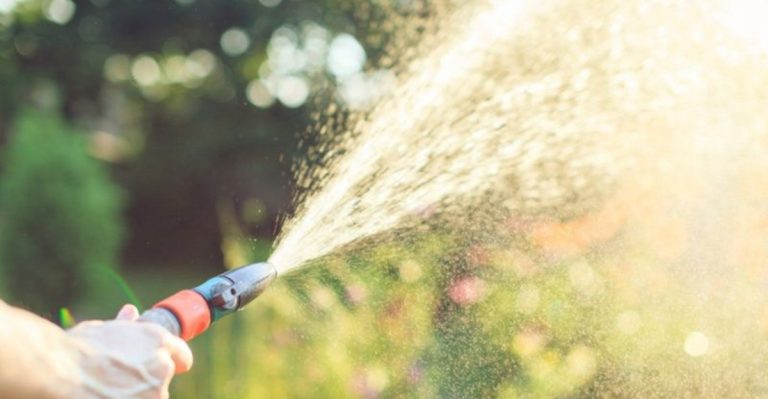 12 Watering Rules Everyone Follows That Kill More Plants Than Drought