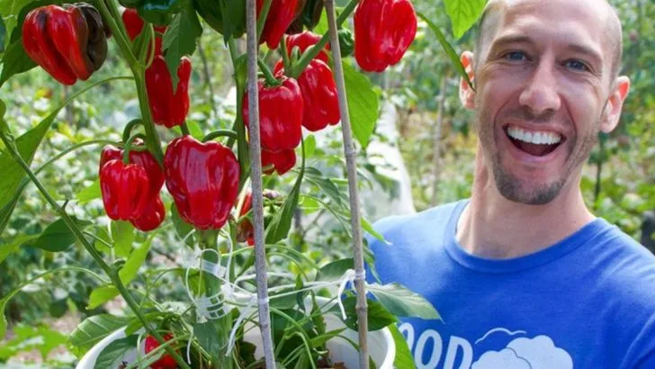 12 Vegetables That Actually Taste Better When Grown in Containers