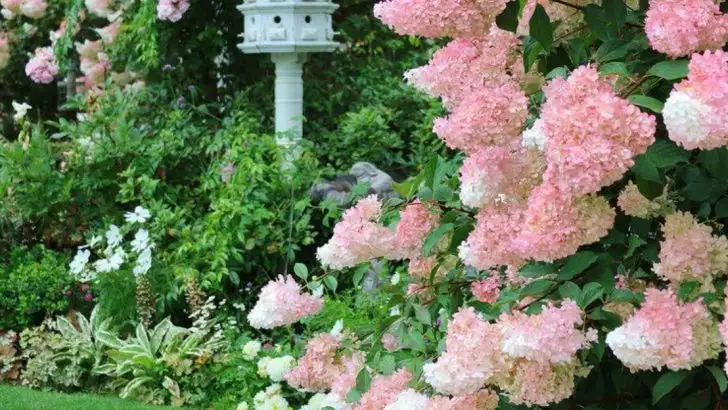 13 Perks of Planting Vanilla Strawberry Hydrangeas in Your Yard