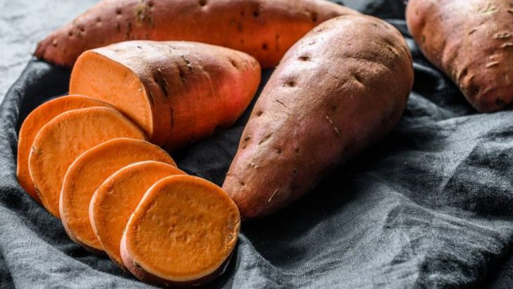 13 Reasons to Grow Sweet Potatoes – 1000x More Vitamin A Than White Potatoes