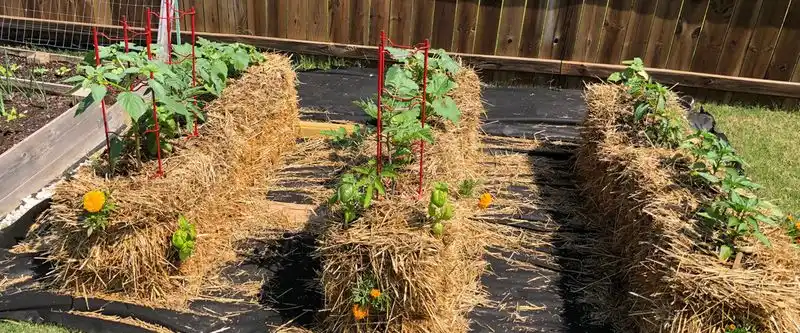Incorrect Bale Selection