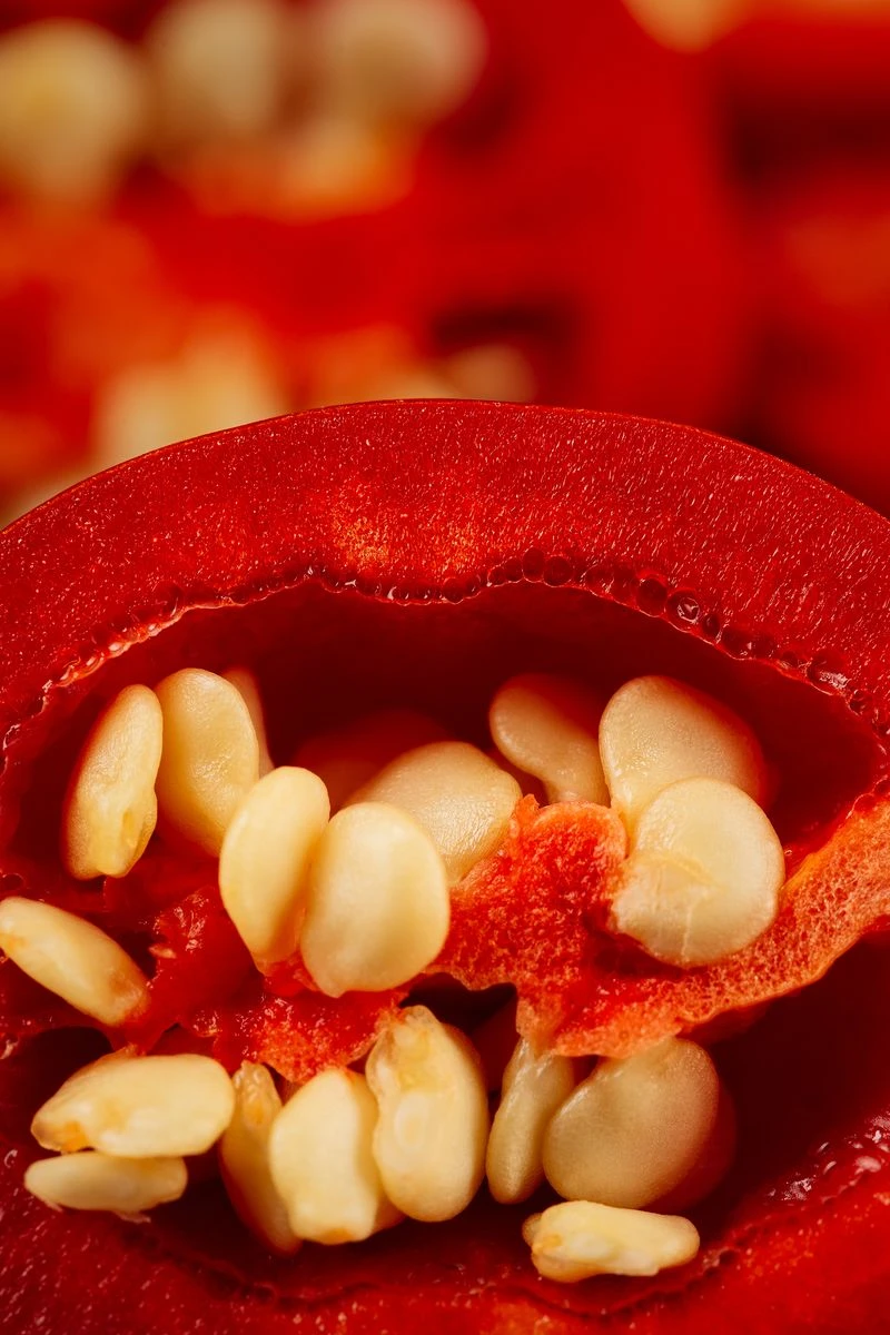 Start with Quality Seeds