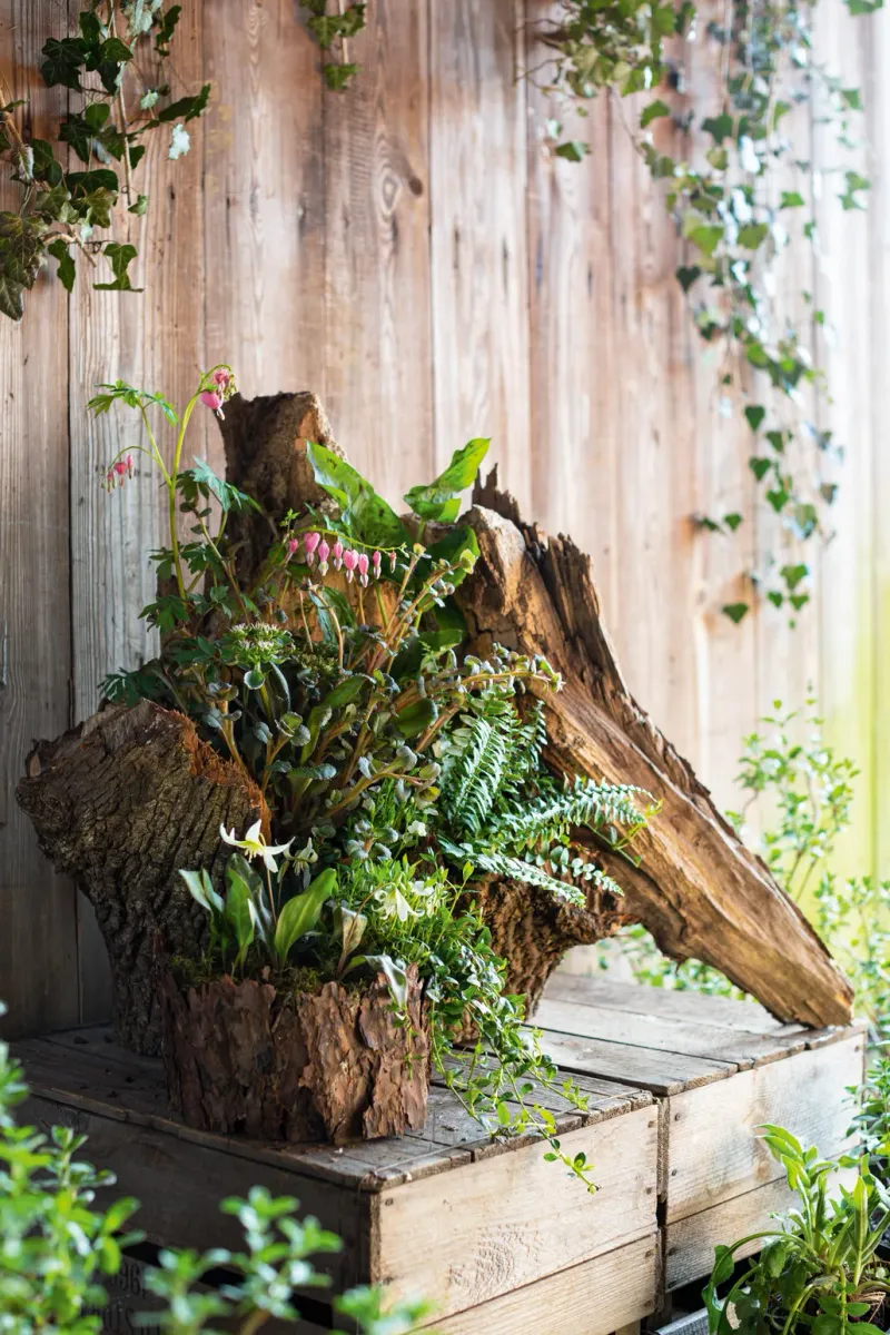 Rustic Woodland Planter