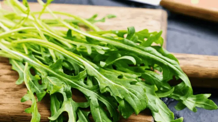 13 Easy Steps to Grow Arugula in Containers With Great Results