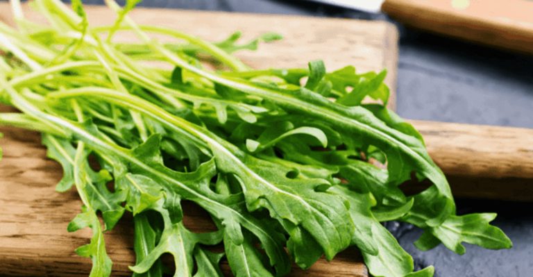 13 Easy Steps to Grow Arugula in Containers With Great Results