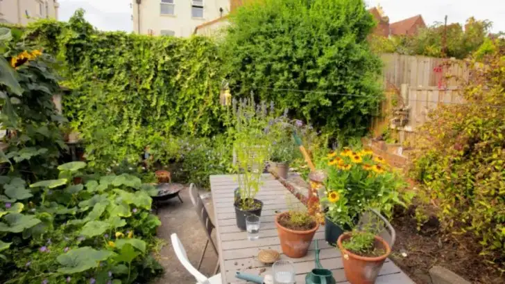 13 Garden Design Tips Inspired by Forest Therapy to Boost Your Mood