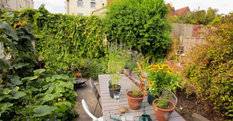 13 Garden Design Tips Inspired by Forest Therapy to Boost Your Mood