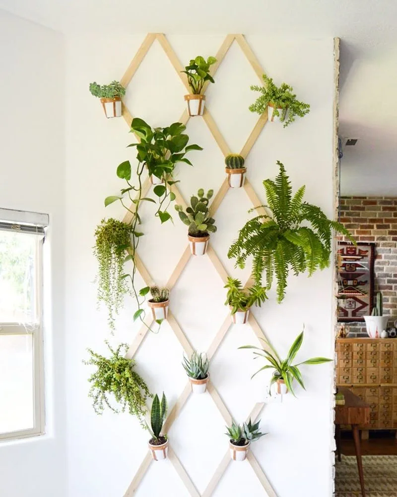 Indoor Vertical Garden