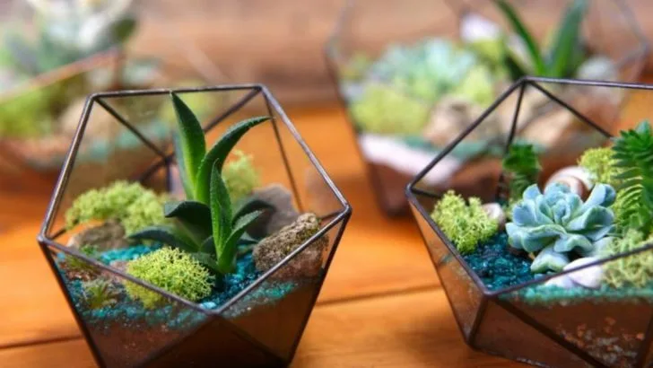 14 Creative Ways to Decorate Your Home With Plants