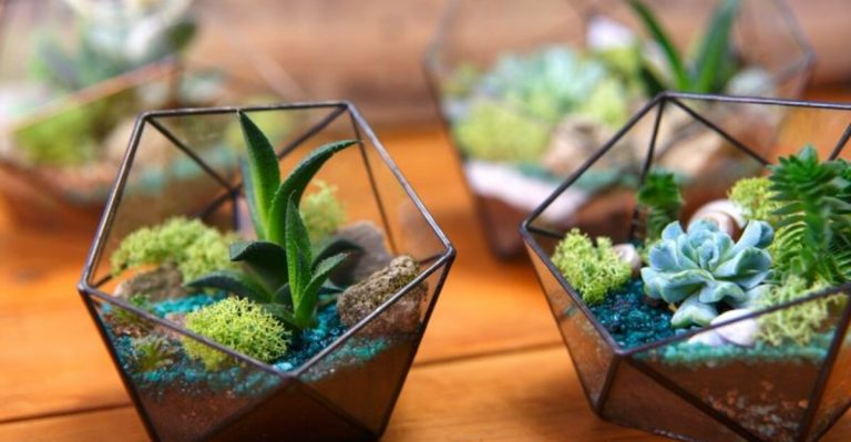 14 Creative Ways to Decorate Your Home With Plants