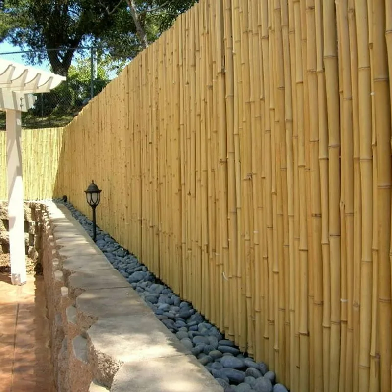 Bamboo Privacy Fence