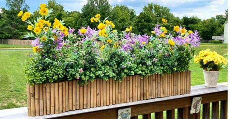 14 Creative Ways to Decorate Your Yard With Bamboo Trees