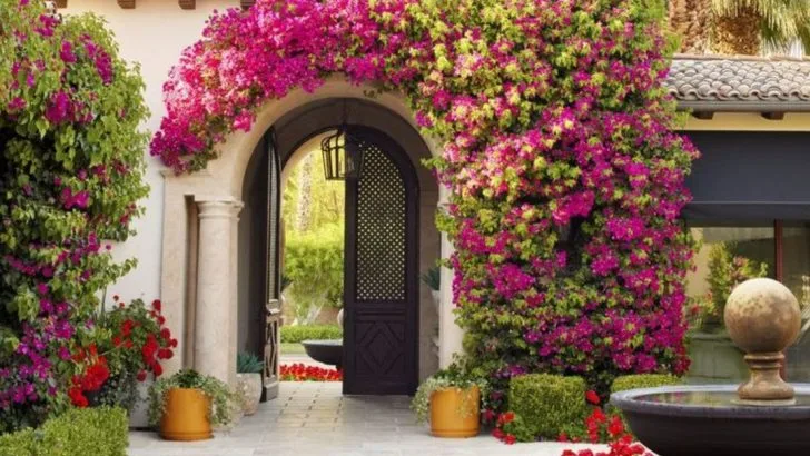 14 Flowers That Keep Blooming Through Heatwaves (And How to Help Them Survive)