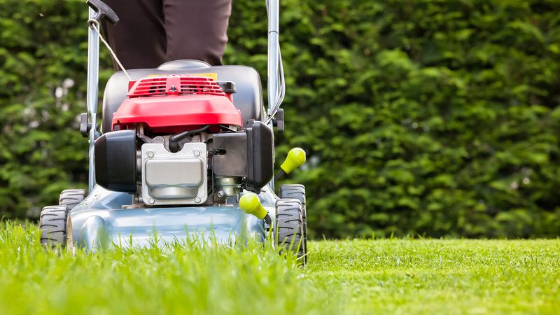 Mow at the Right Height
