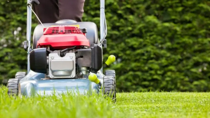 14 Late Spring Lawn Care Tips That Prepare Your Grass for the Summer Heat
