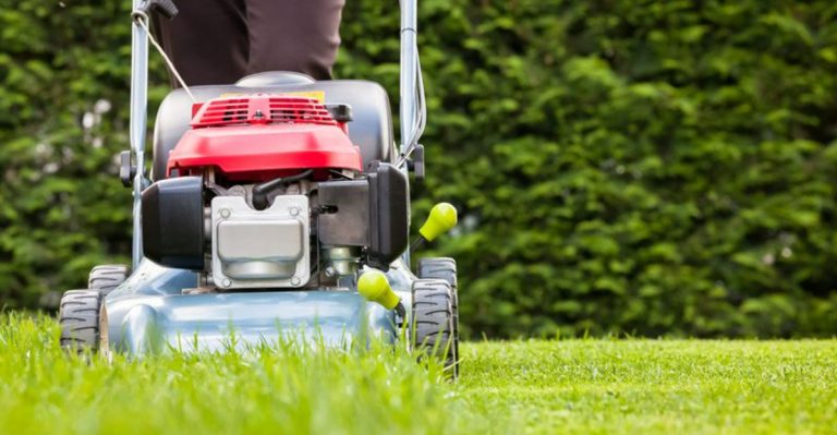 14 Late Spring Lawn Care Tips That Prepare Your Grass for the Summer Heat