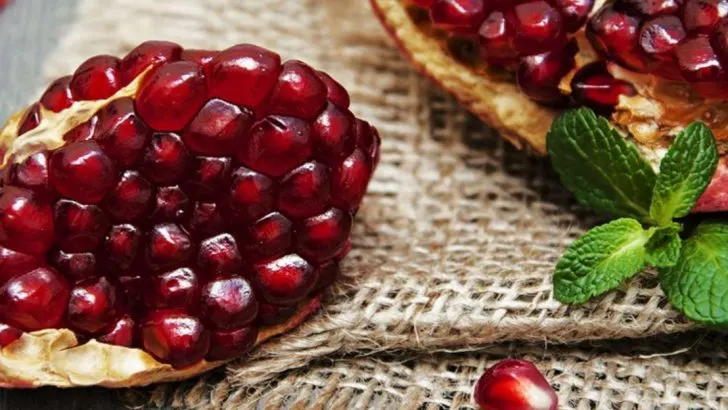 14 Steps to Grow a Pomegranate Tree in a Pot That Actually Bears Fruit