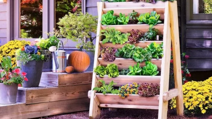 14 Amazing Small-Scale Kitchen Garden Ideas