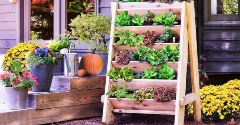 14 Amazing Small-Scale Kitchen Garden Ideas