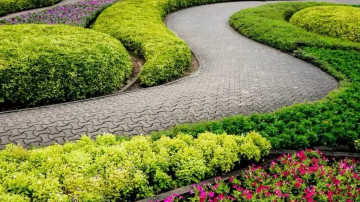 14 Signs You’re Paying Too Much for Landscaping (And What to Do About It)