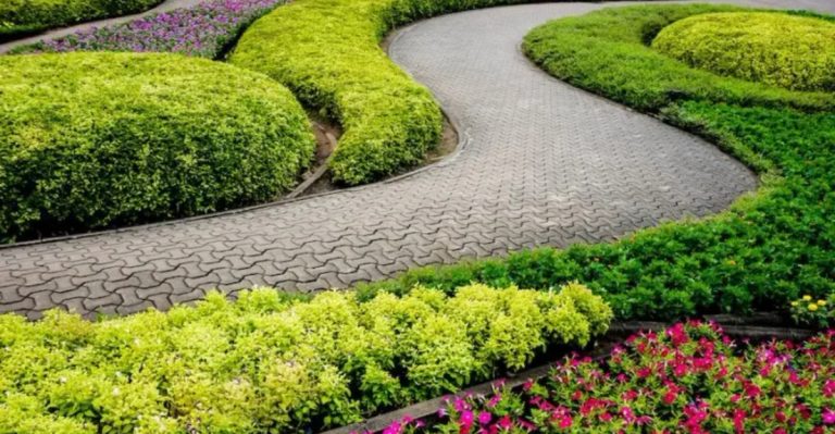 14 Signs You’re Paying Too Much for Landscaping (And What to Do About It)